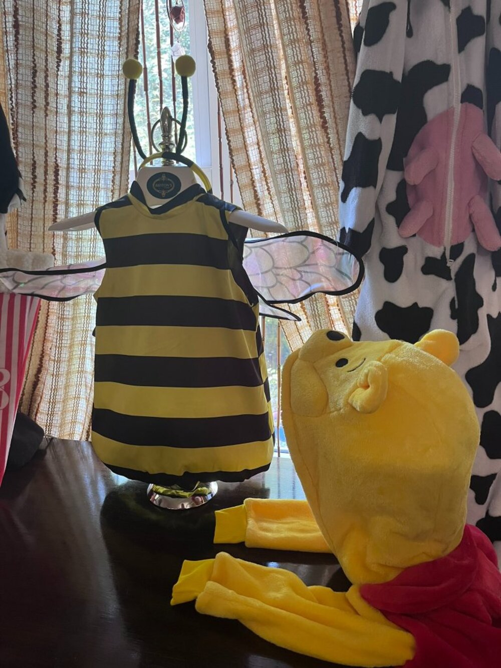 Honey Bumble Bee Halloween Costume Toddler Size 4 T NWT